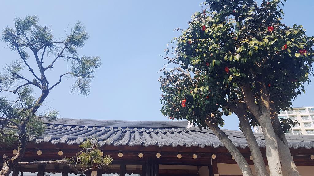 Gwangju Metropolitan City Misori Guesthouse מראה חיצוני תמונה