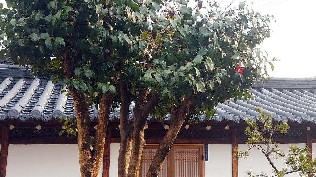 Gwangju Metropolitan City Misori Guesthouse מראה חיצוני תמונה