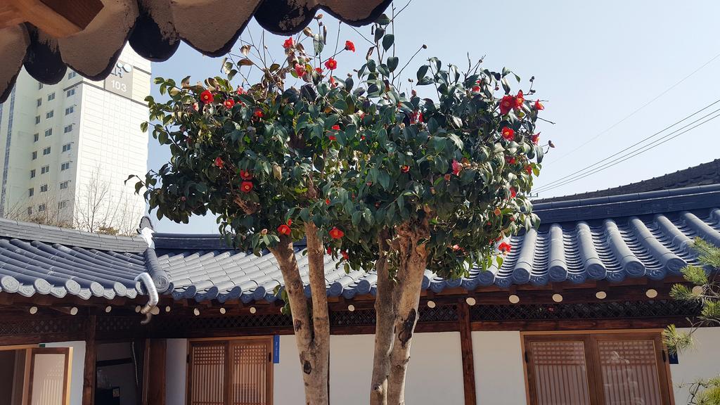 Gwangju Metropolitan City Misori Guesthouse מראה חיצוני תמונה