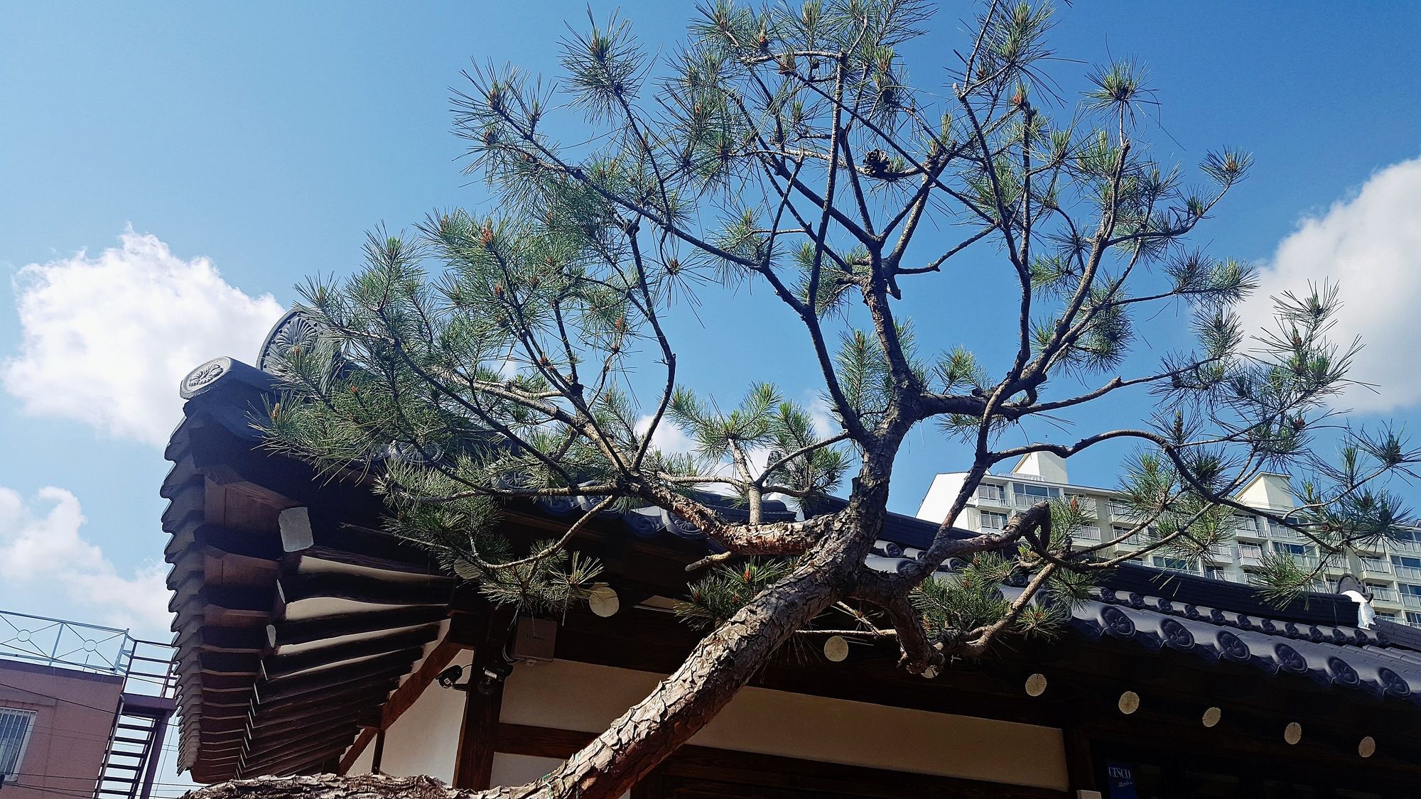Gwangju Metropolitan City Misori Guesthouse מראה חיצוני תמונה